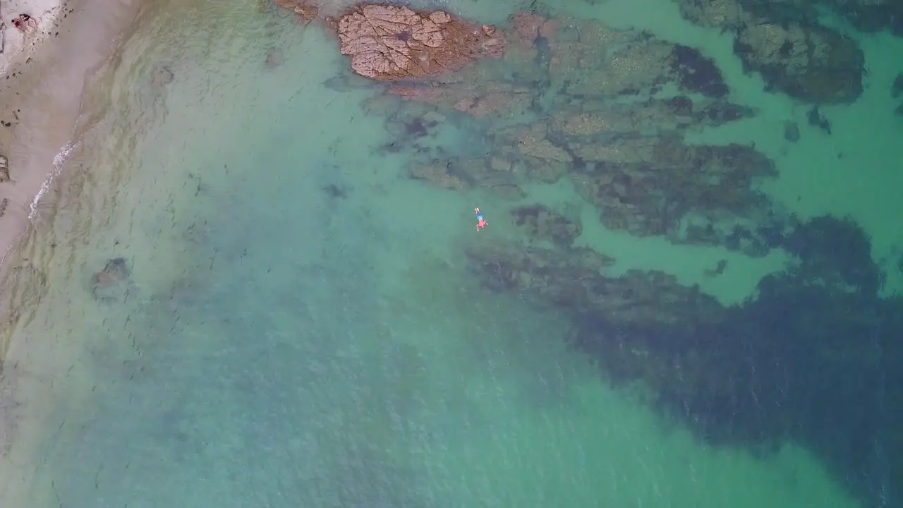 Aerial drone view of a person snorkeling in vibrant green waters of the Atlantic coast near Galicia Spain