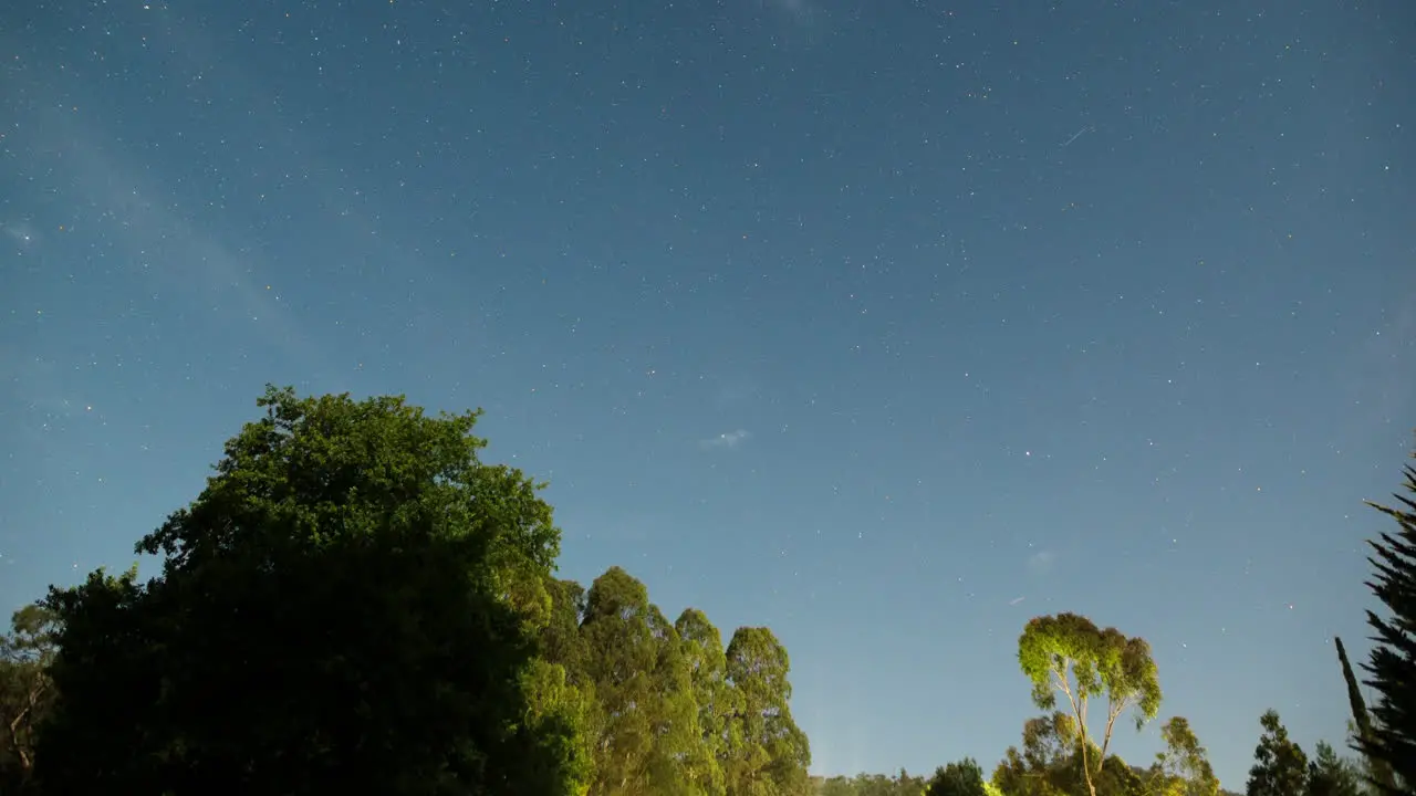 Panning time-lapse wide shot of stars rotating around the south celestial pole with the foreground trees lit by the moon as it sets behind the camera