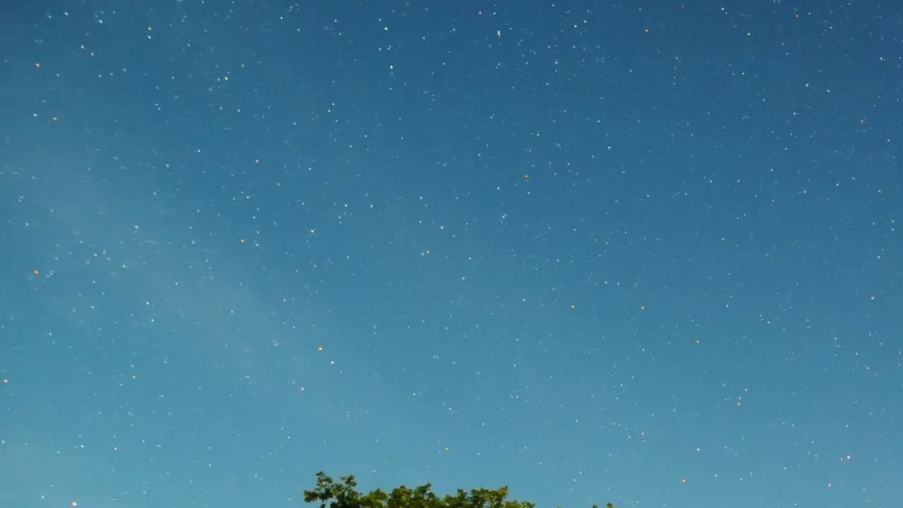 Panning tight shot of stars roatiting around the south celestial pole with the foreground trees