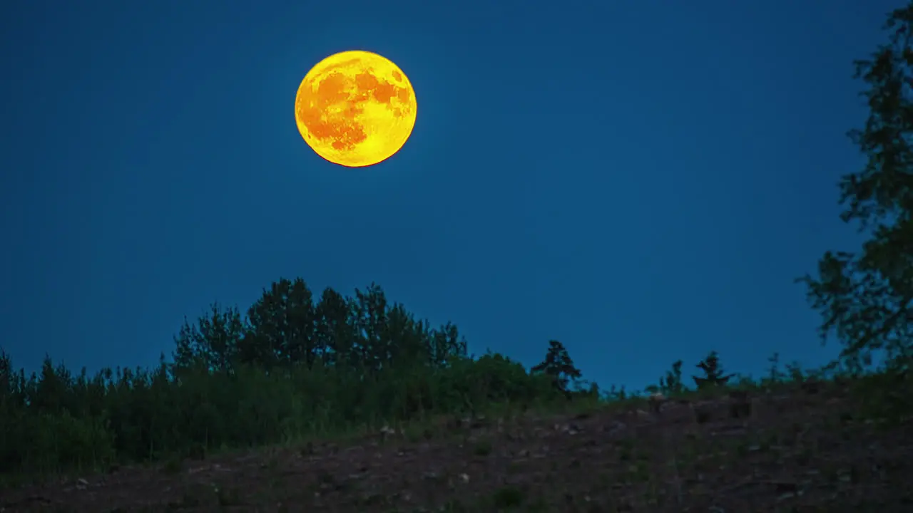 Timelapse Super full golden moon moving on clear blue night sky