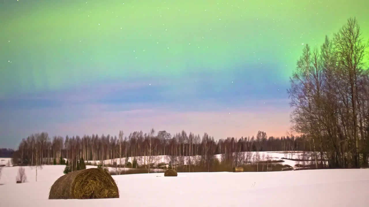 Low angle shot of spectacular northern lights Aurora borealis on display in timelapse during freezing winter night over snow covered forest lit by full moon