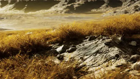 dry grass fields and mountains in Nepal