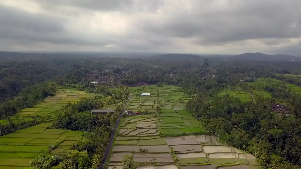 Unbelievable aerial view flight wide ponorama overview drone
of bali rice field daytime summer 2017