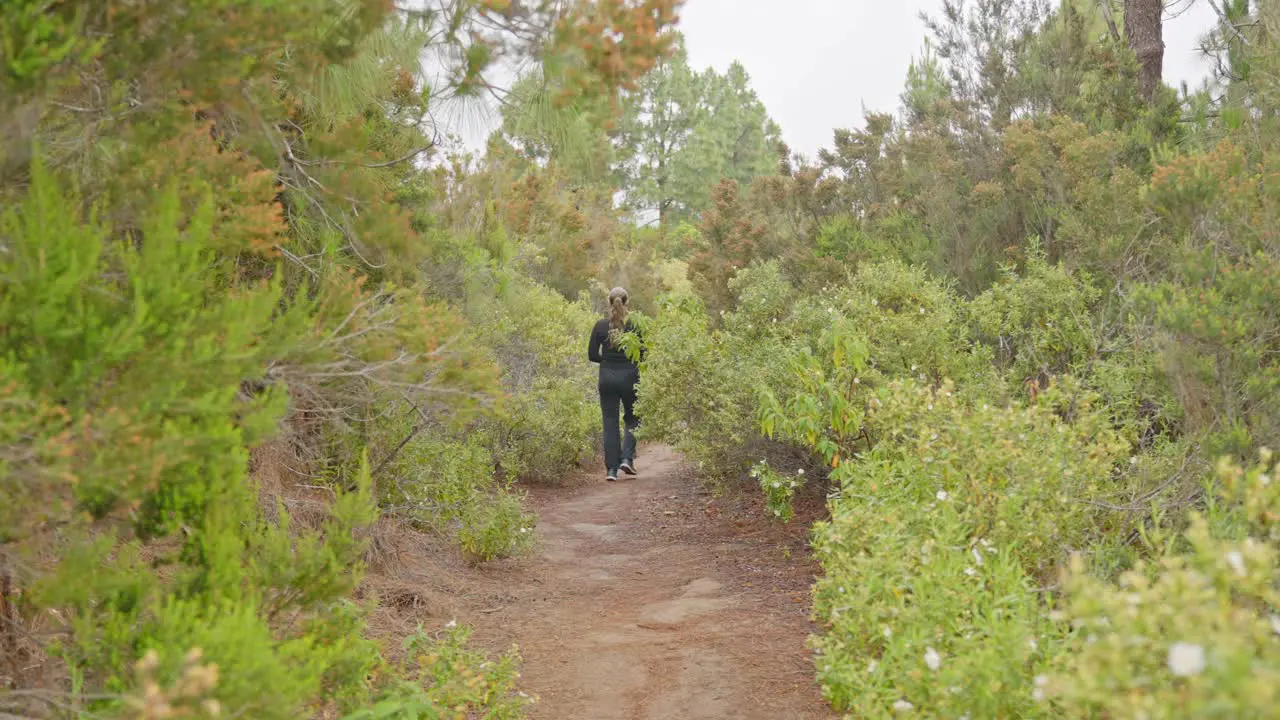 Attractive woman in black walking on pahtway in Tenerife forest back view