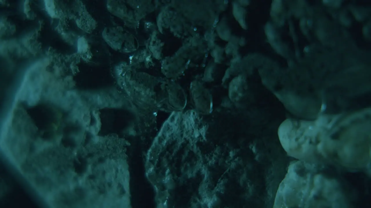 Underground water soaking into rocks blue green light Static close-up shot