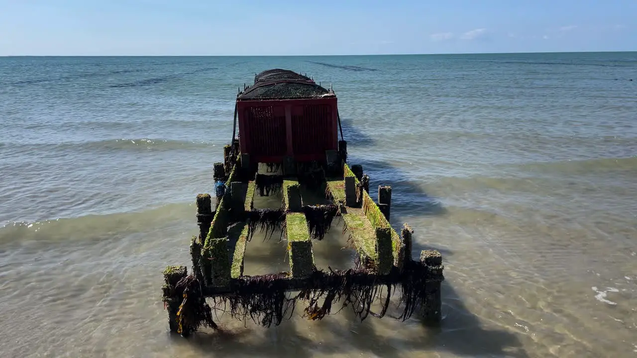 Static view of oyster and mussels farming table on shore