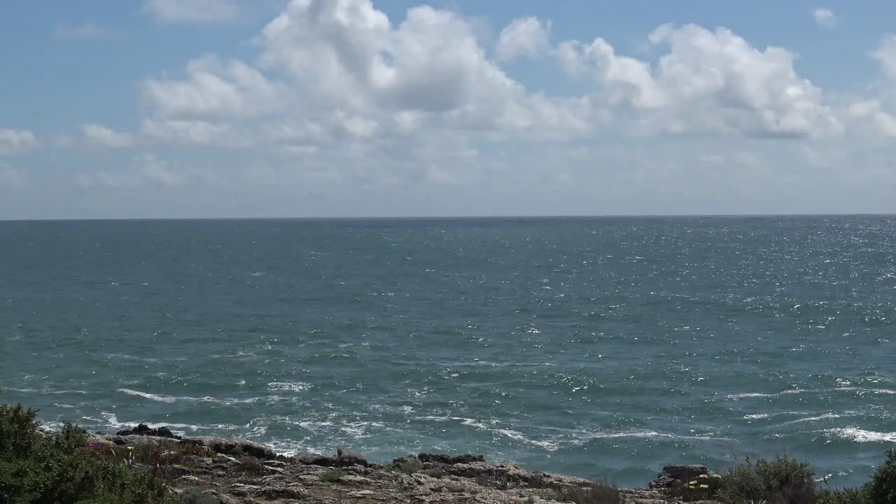 Clean Ocean and the Shore