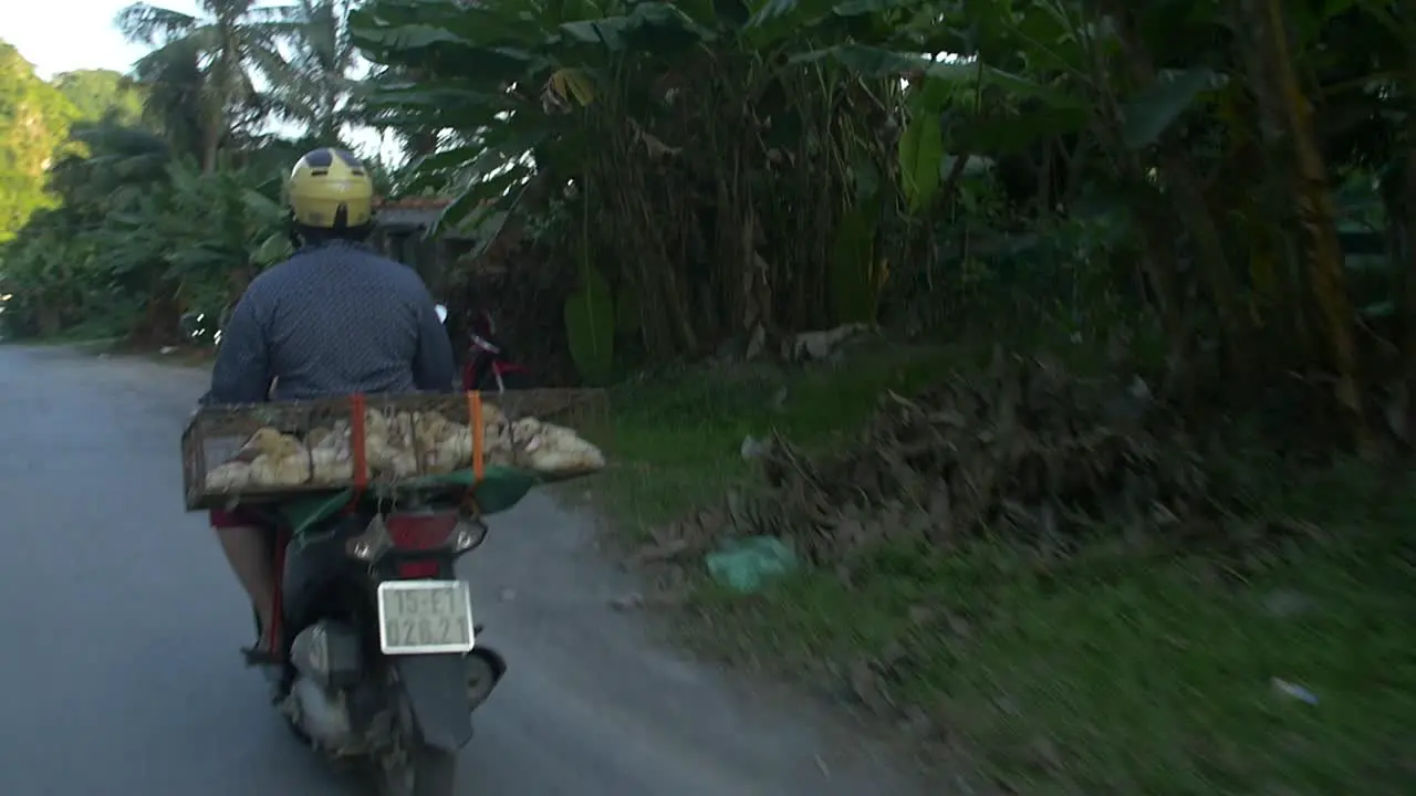 Vietnamese Woman on Scooter