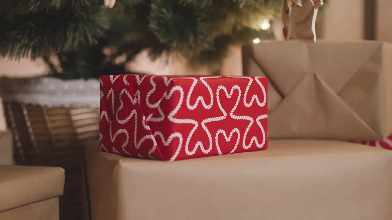 Vista De Cerca De Una Persona Colocando Regalos Debajo Del árbol De Navidad Decorado Con Elementos Y Luces De Navidad